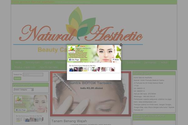 Frontier theme site design template sample
