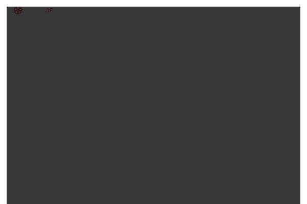 Dfd-ronneby_child theme site design template sample