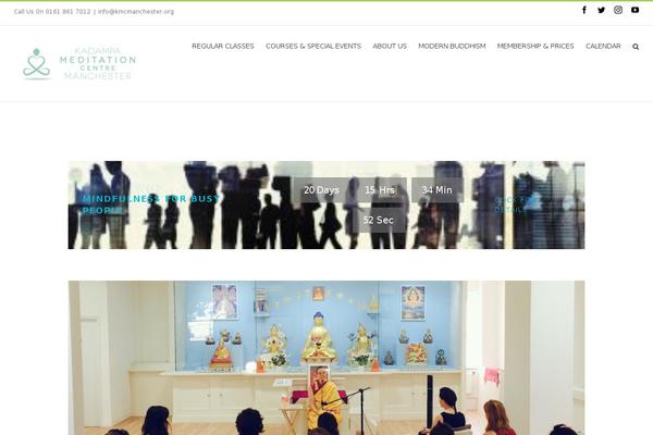 Site using Ultimate Widgets Light plugin