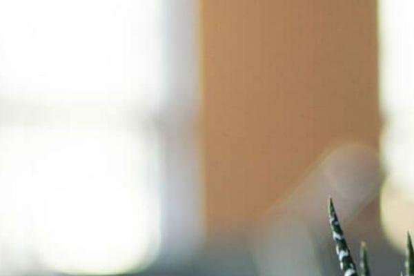 Twenty Seventeen theme site design template sample