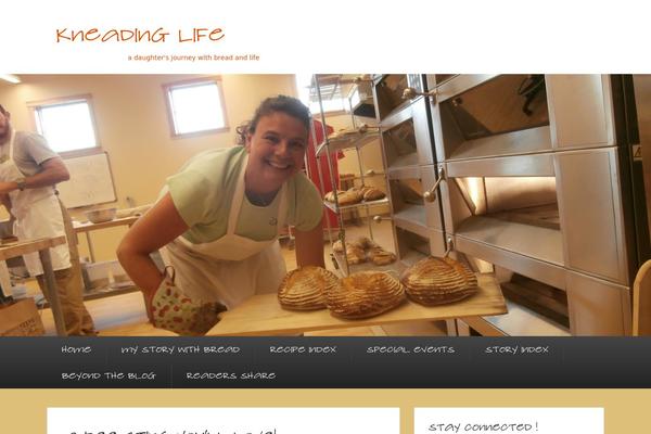 Catch Evolution theme site design template sample