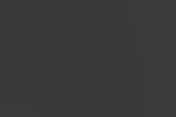 Site using Print-my-blog plugin