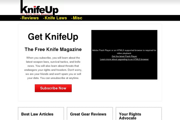 Newspaper theme site design template sample