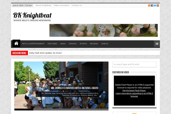 Bk theme site design template sample