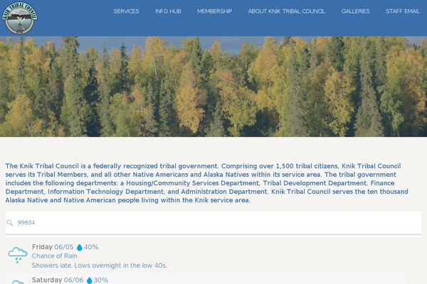 Codeus theme site design template sample