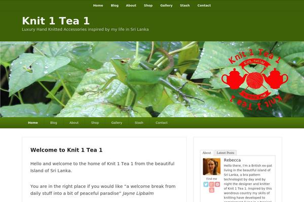 Catch Evolution Pro theme site design template sample