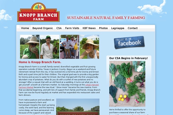 Residence theme site design template sample