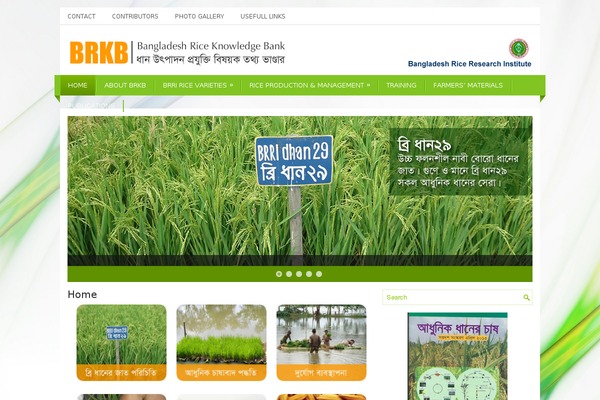 Site using WP News and Scrolling Widgets plugin
