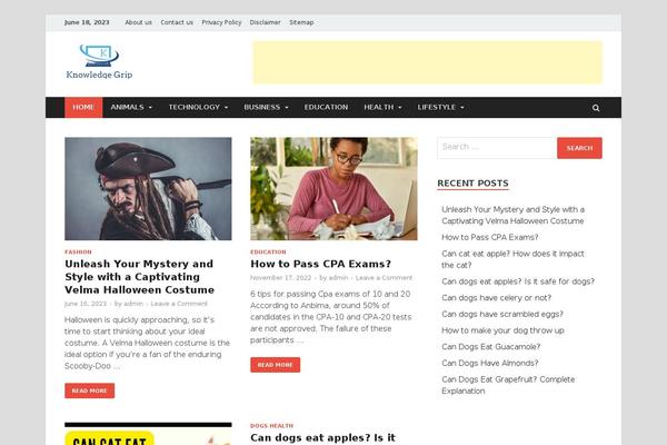 Bam theme site design template sample