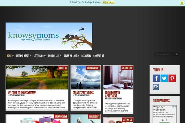 Site using ContactBuddy by iThemes plugin