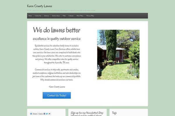 Site using AddToAny Share Buttons plugin