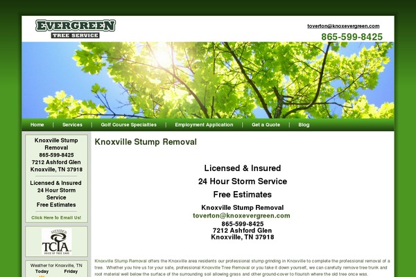 knoxvillestumpremoval.com site used Evergreen_tree_stump
