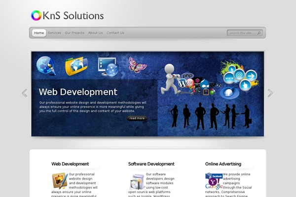 TheProfessional theme site design template sample