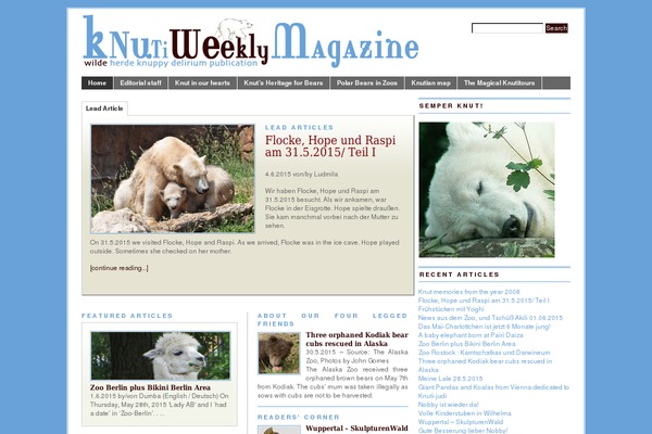BranfordMagazine theme site design template sample