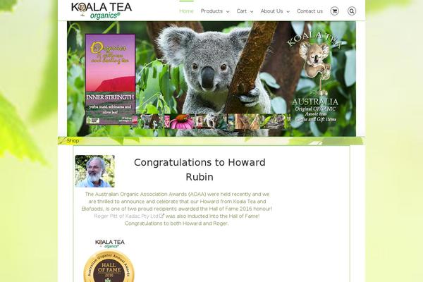 Avada theme site design template sample