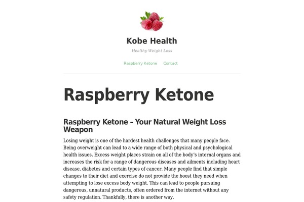 Independent Publisher theme site design template sample