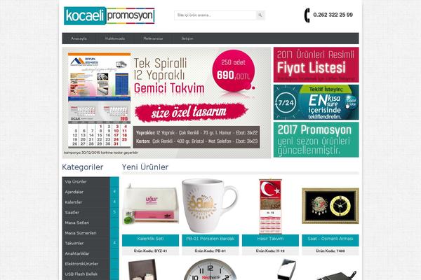 promosyon theme websites examples