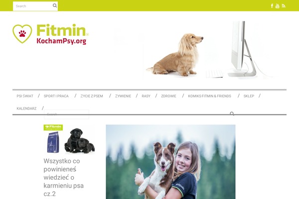 Santiago theme site design template sample