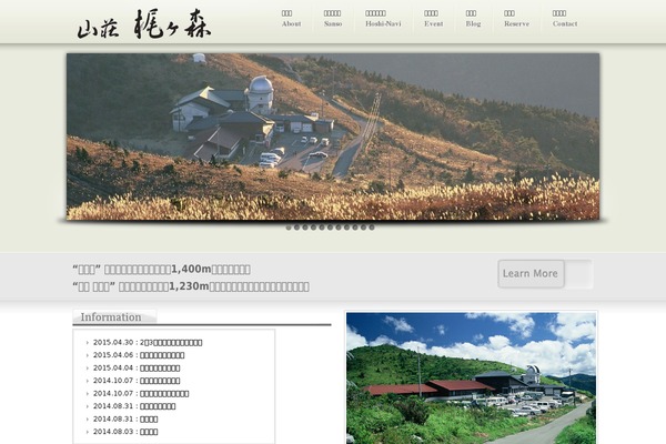 Proton theme site design template sample