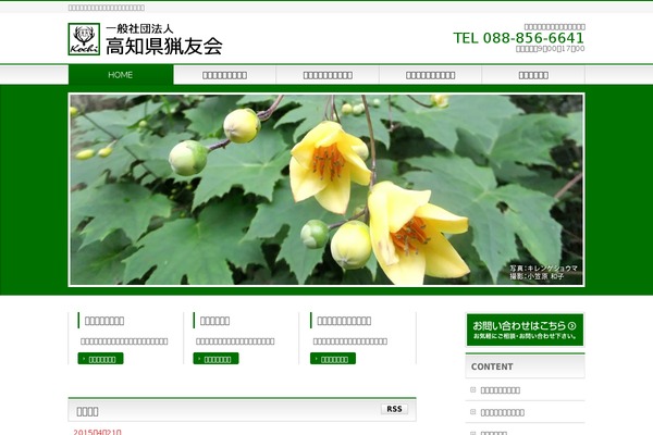 BizVektor theme site design template sample