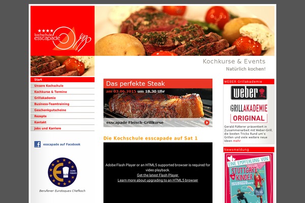 cannyon-child WordPress theme, websites list used cannyon-child theme cannyon-child theme websites examples