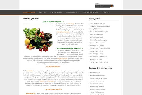 Playbook theme site design template sample