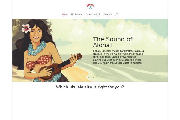 Divi Child theme site design template sample