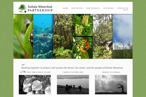 Dandelion_v2.6.3 theme site design template sample