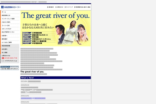 Stinger3ver20140124 theme site design template sample