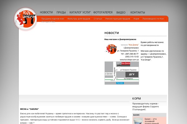 Koi theme site design template sample