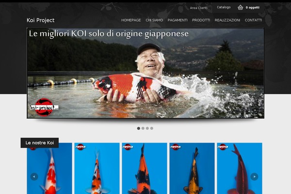 Site using Flexible-lightbox plugin