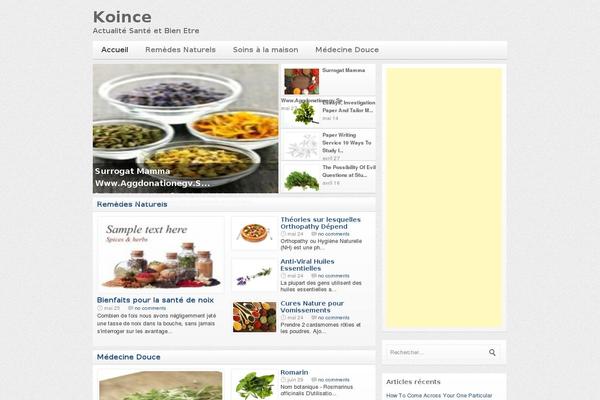 silverOrchid theme site design template sample