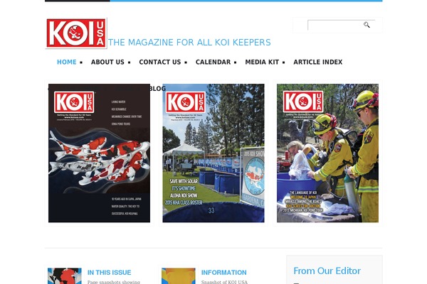 koiusa.com site used Theme1354