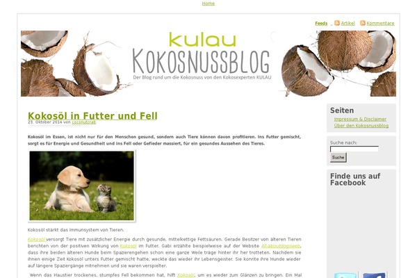 Site using Newsletter2go plugin