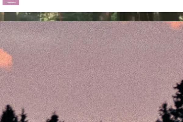 Site using Ocean-portfolio plugin