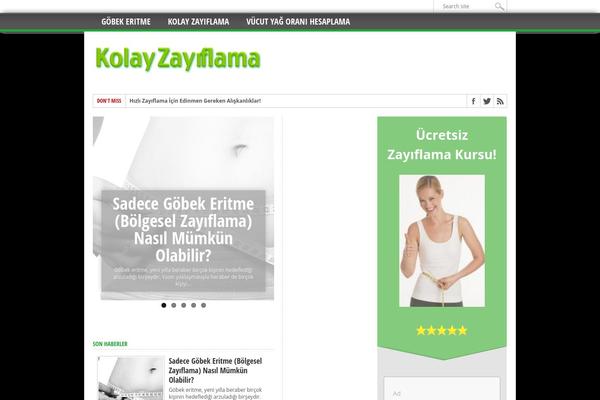 Max Mag theme site design template sample