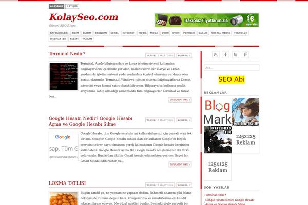 Bisade theme site design template sample