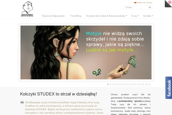 Ave-child theme site design template sample