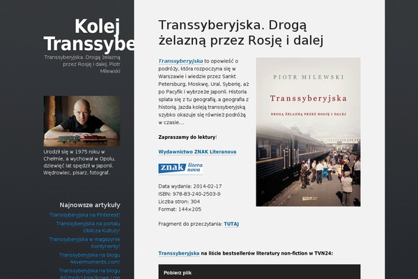 Displace theme site design template sample