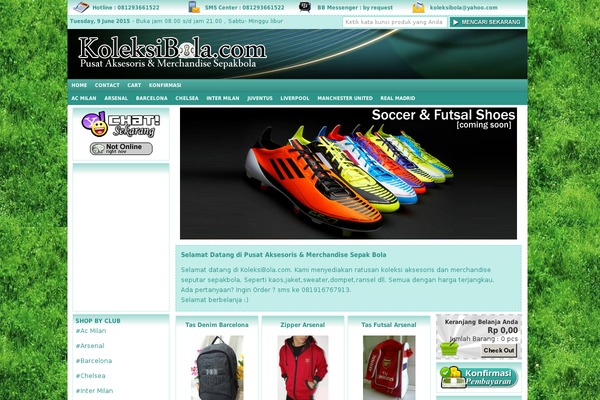 Indostore4-1client theme site design template sample