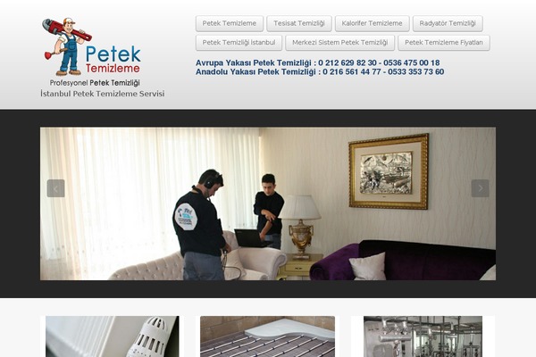 Business lite theme site design template sample