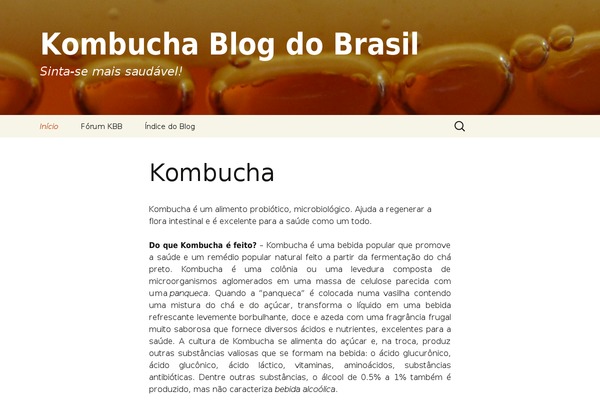 Ko theme site design template sample