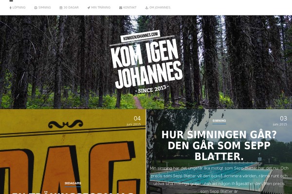Aden theme site design template sample