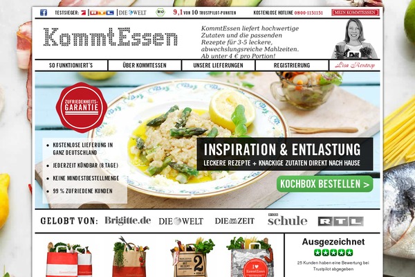 dinnerpeace theme websites examples