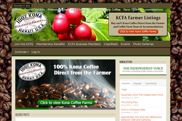 Sahifa theme theme site design template sample