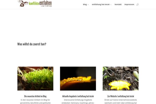 Divi theme site design template sample