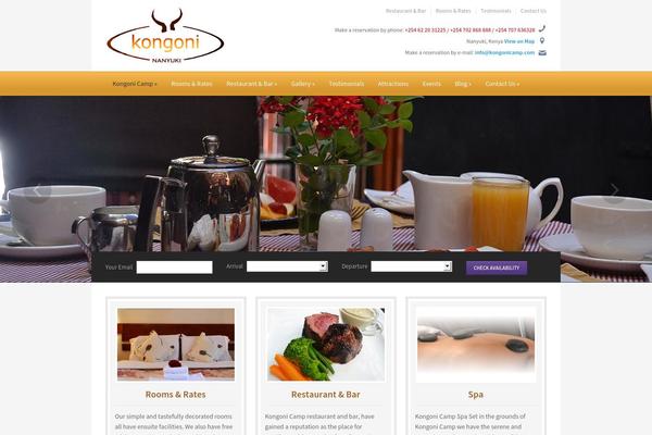 Ambassador theme site design template sample