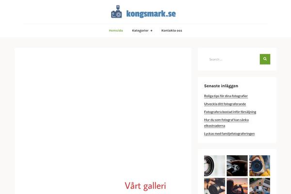 Abel theme site design template sample