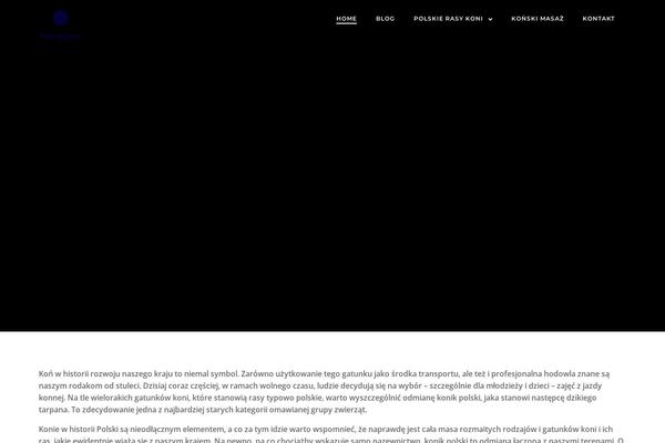 Brite theme site design template sample