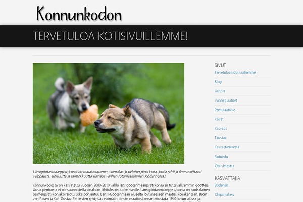 Site using CommentLuv plugin